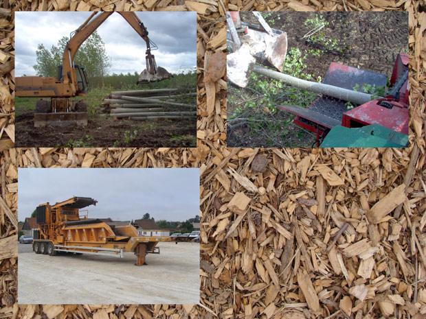 Plaquettes de bois